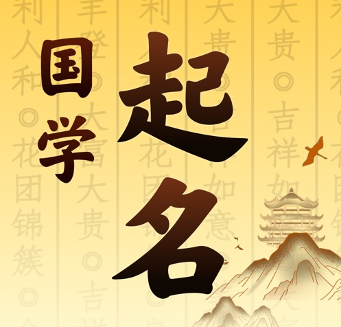 溆浦国学起名 人工起名一对一